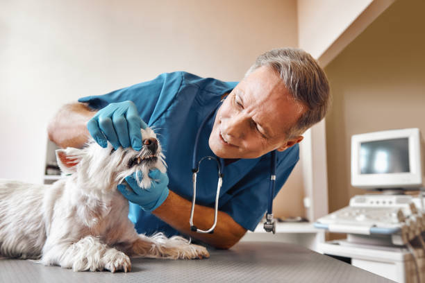 Best Knocked-Out Tooth Emergency  in Fairfax, OH